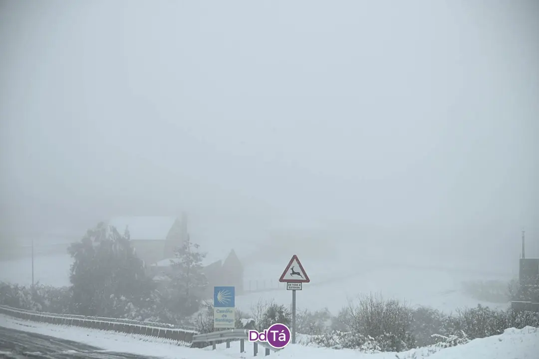 neve verin-33