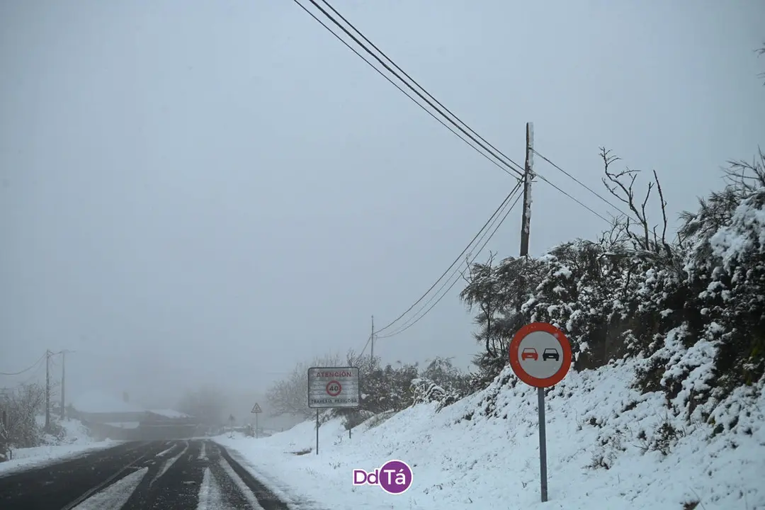 neve verin-36