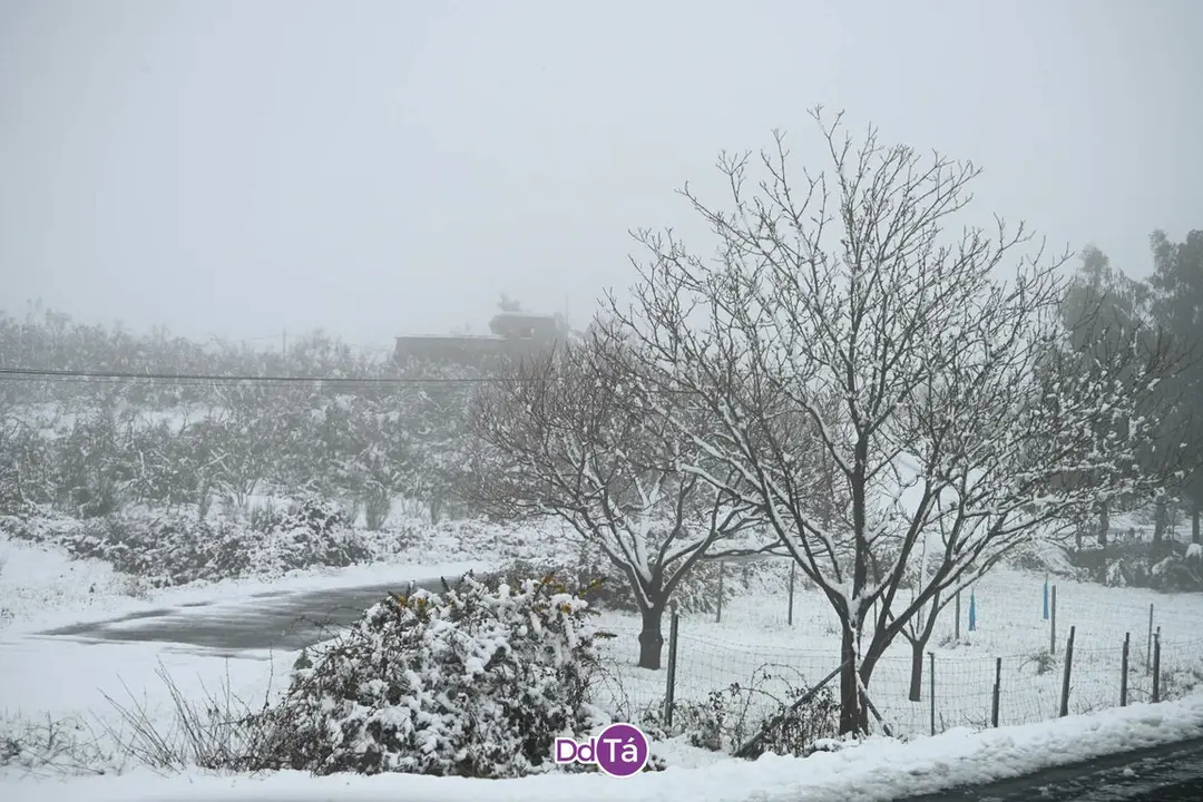 neve verin-37