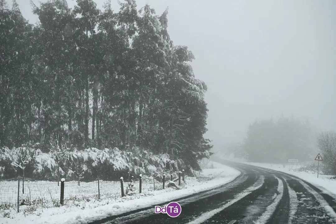 neve verin-39