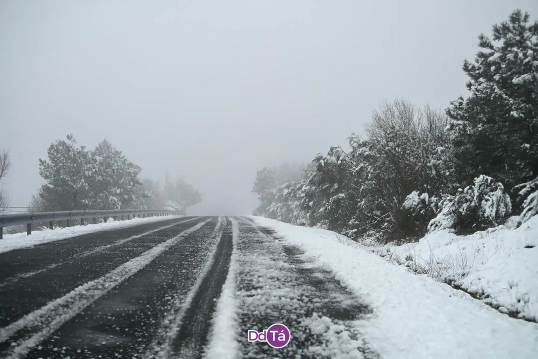 neve verin-42