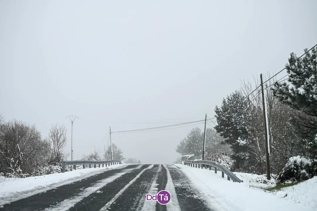 neve verin-43