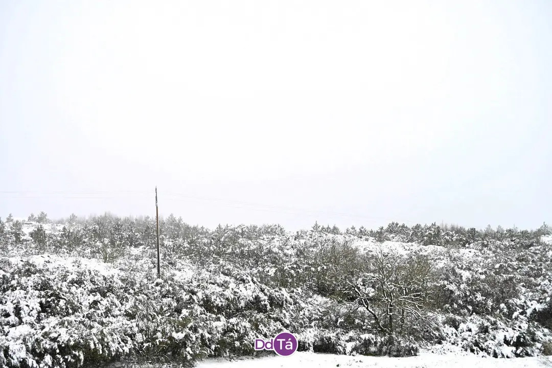 neve verin-44