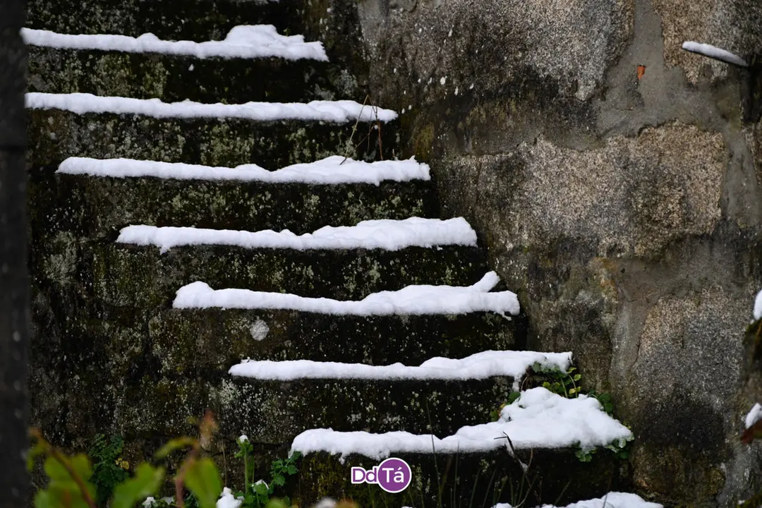 neve verin-49