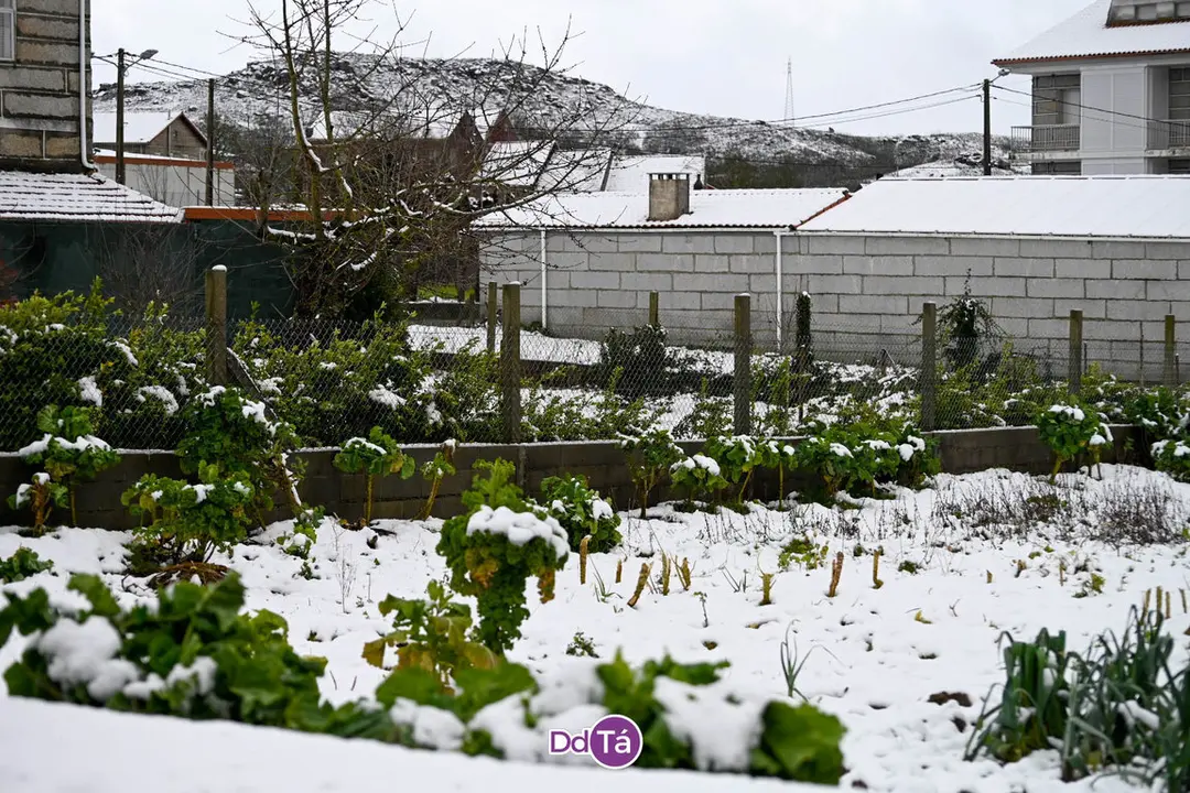 neve verin-54