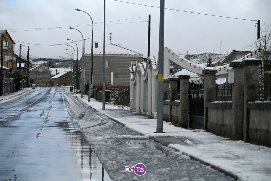 neve verin-55