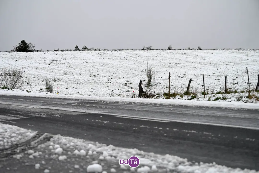 neve verin-58