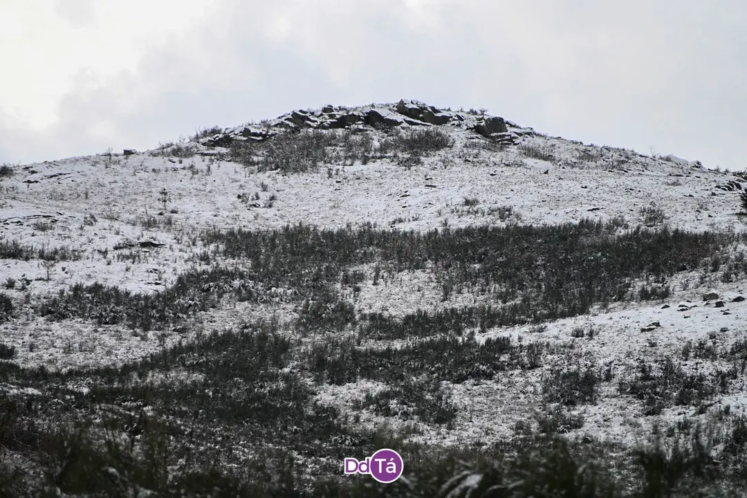 neve verin-59