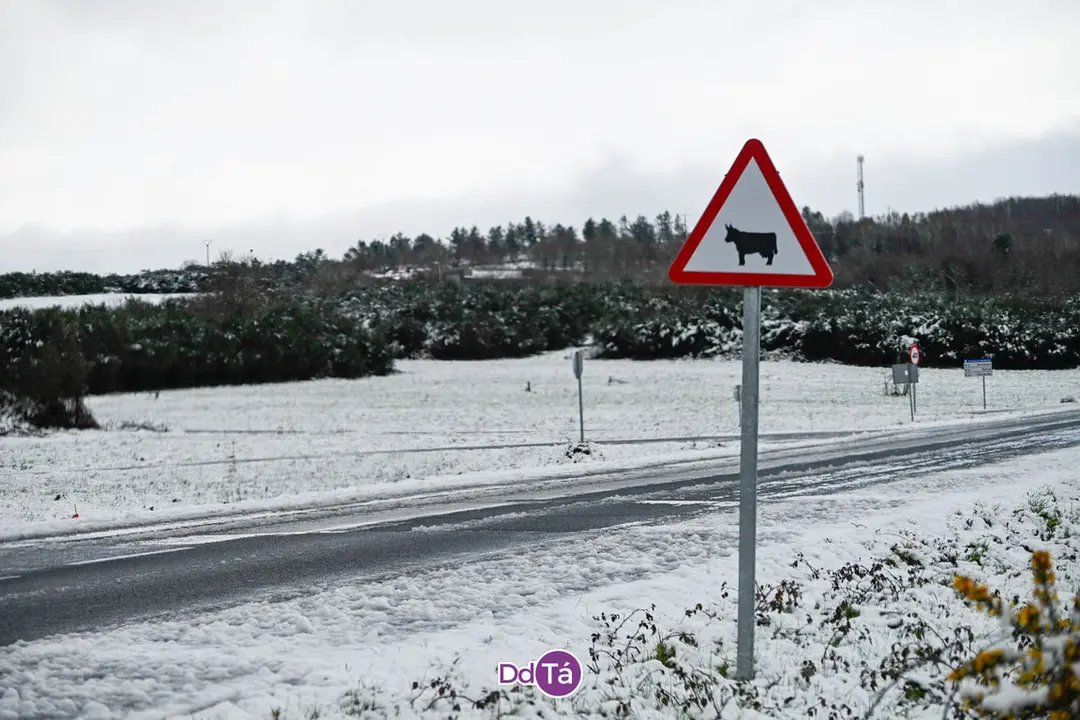 neve verin-61