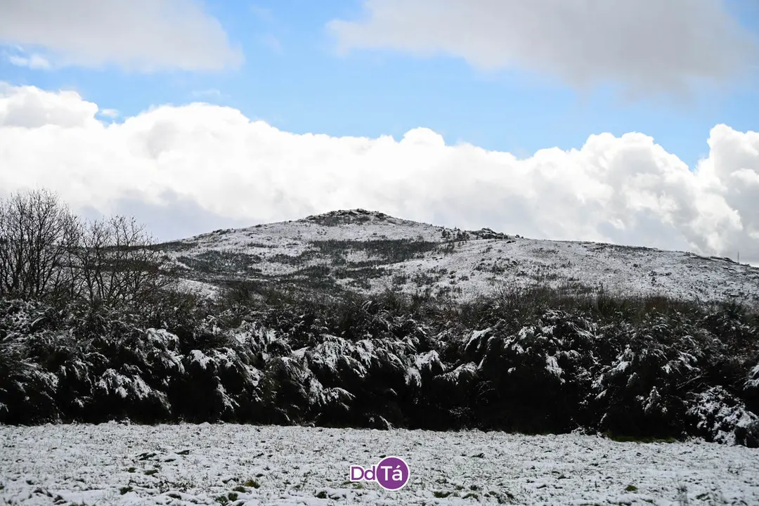 neve verin-62