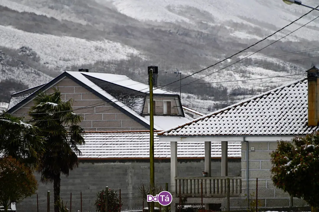 neve verin-73