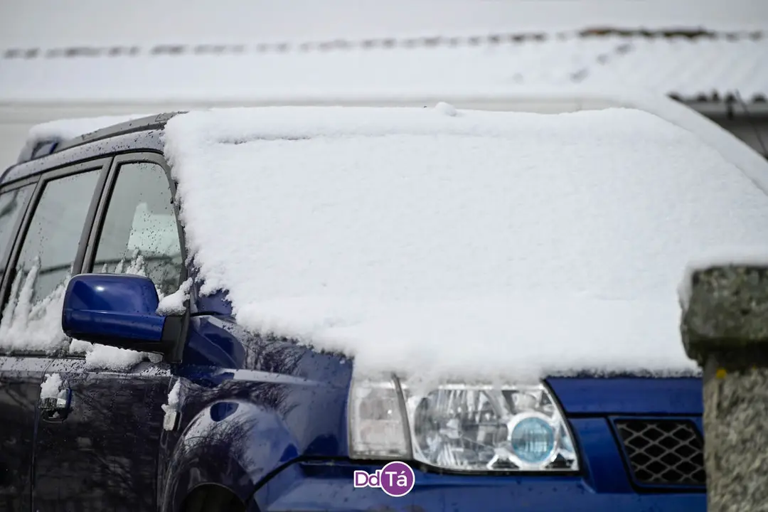 neve verin-78