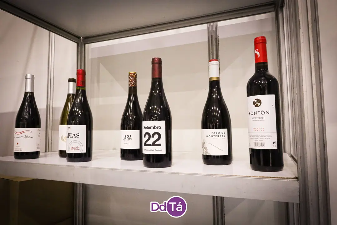feira lazaro 2024-03