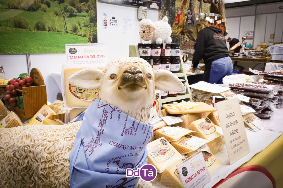 feira lazaro 2024-15