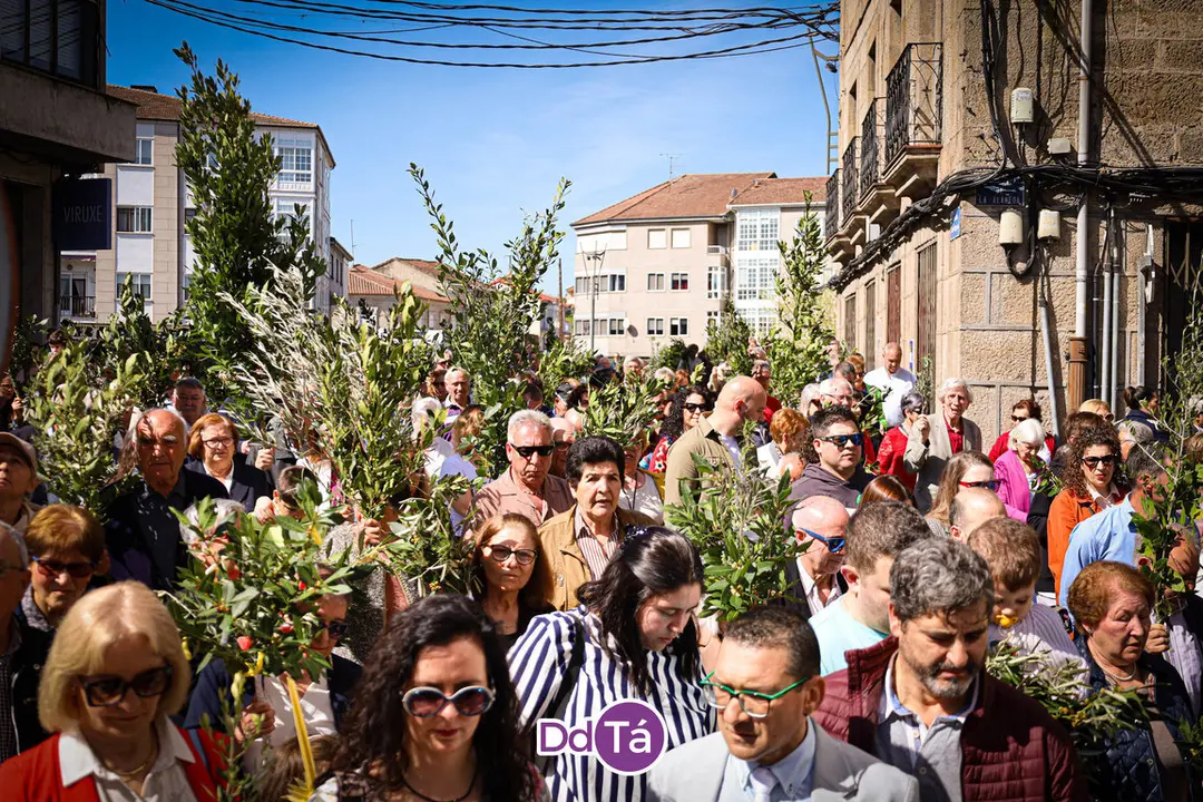 domingo ramos verin 2024-12