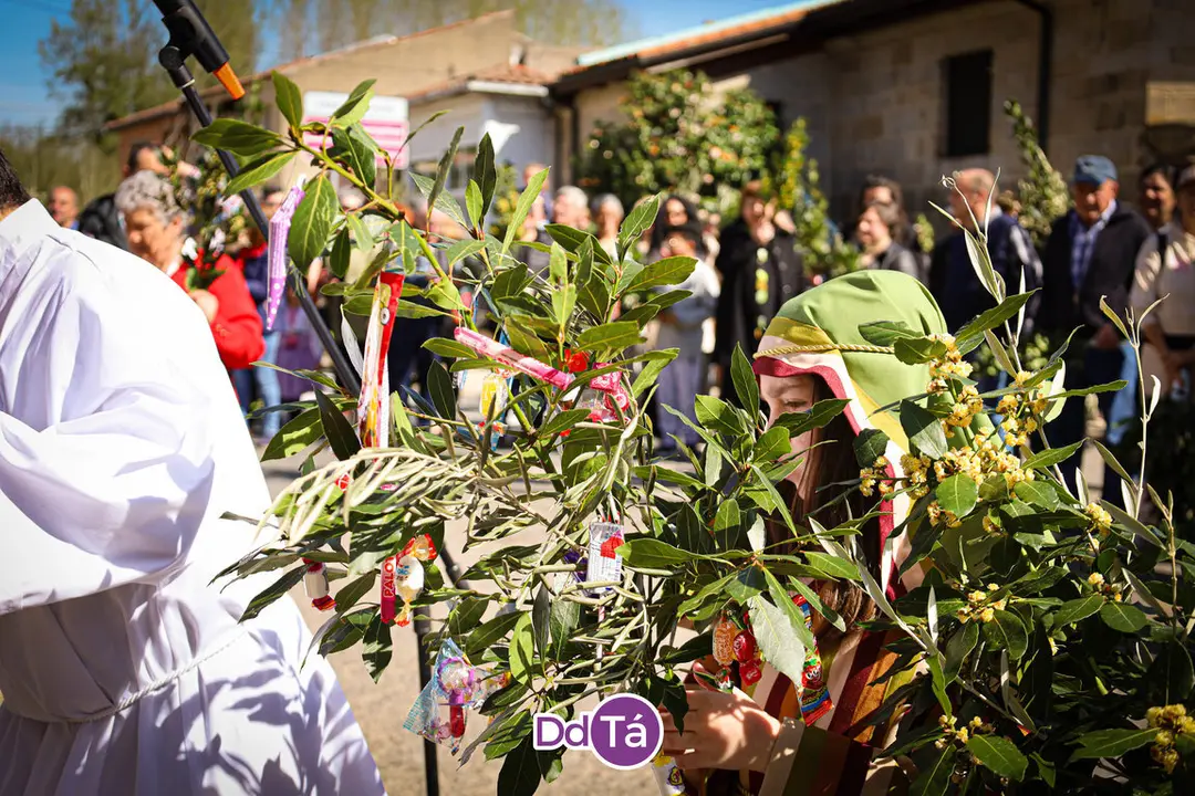 domingo ramos verin 2024-72