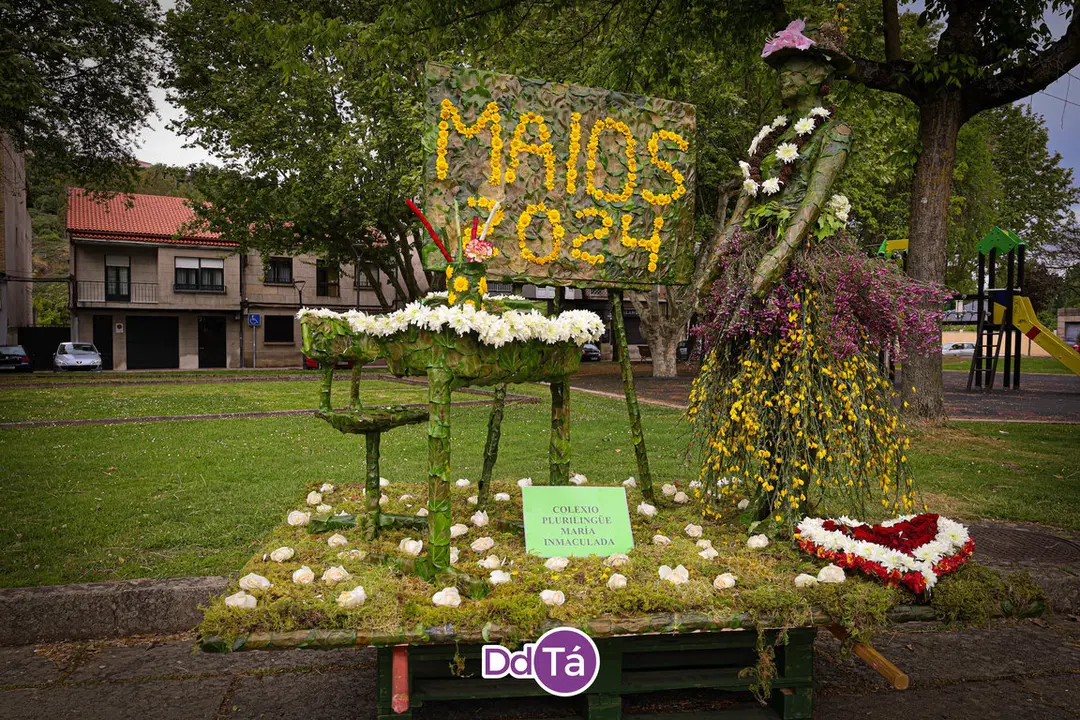 maios verin 2024-89