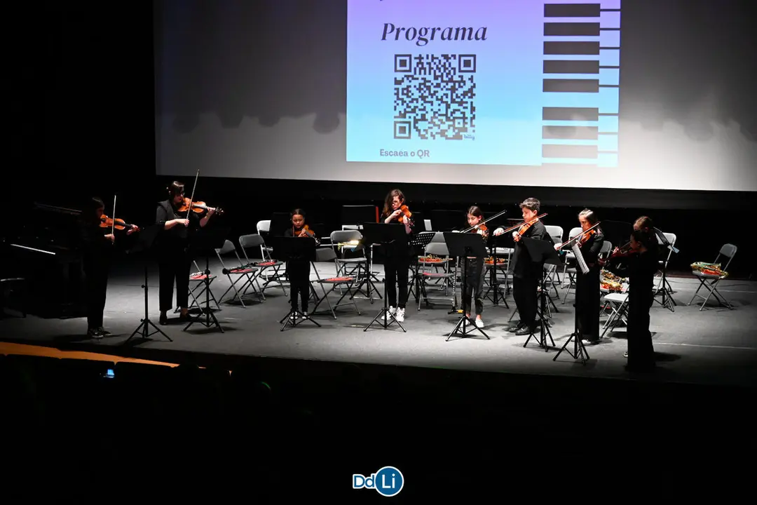 O concerto dos limi&aacute;ns abriuse cunha co&ntilde;ecida peza do prol&iacute;fico Mozart. | FOTO: Noelia Caseiro.