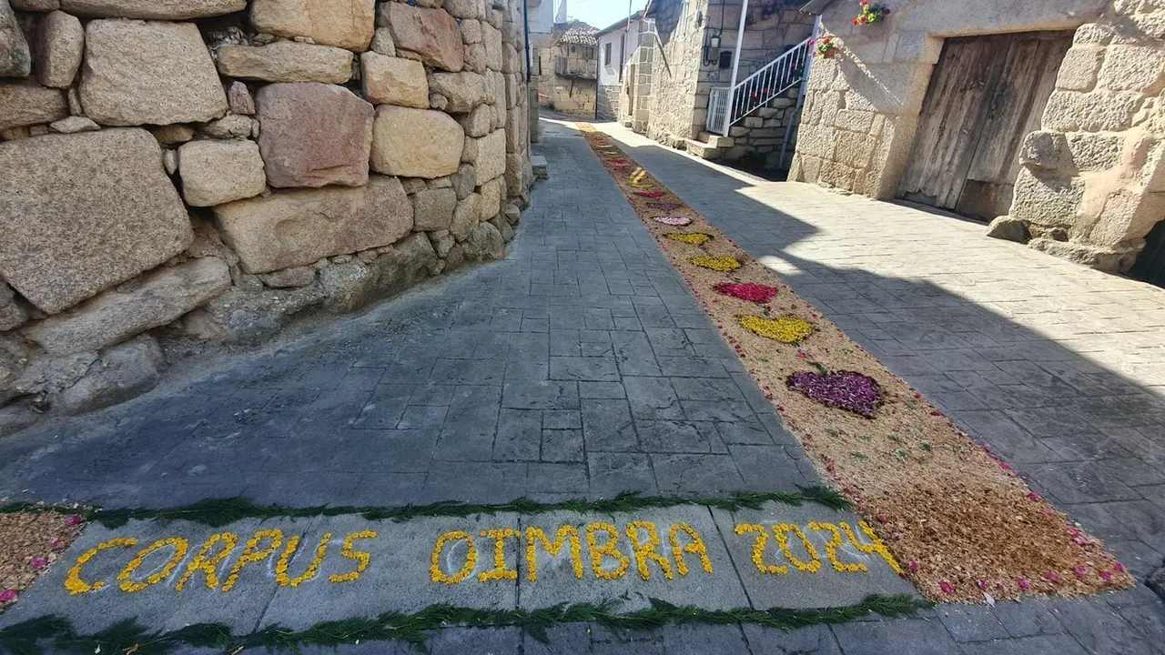 Corpus Christi 2024 O&iacute;mbra (1)