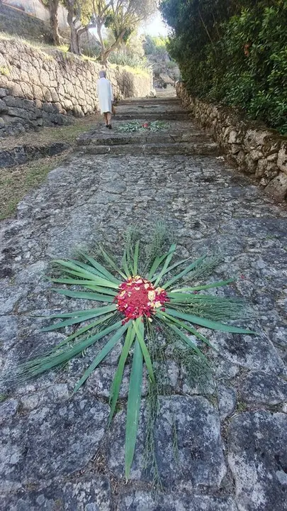 Corpus Christi 2024 O&iacute;mbra (13)