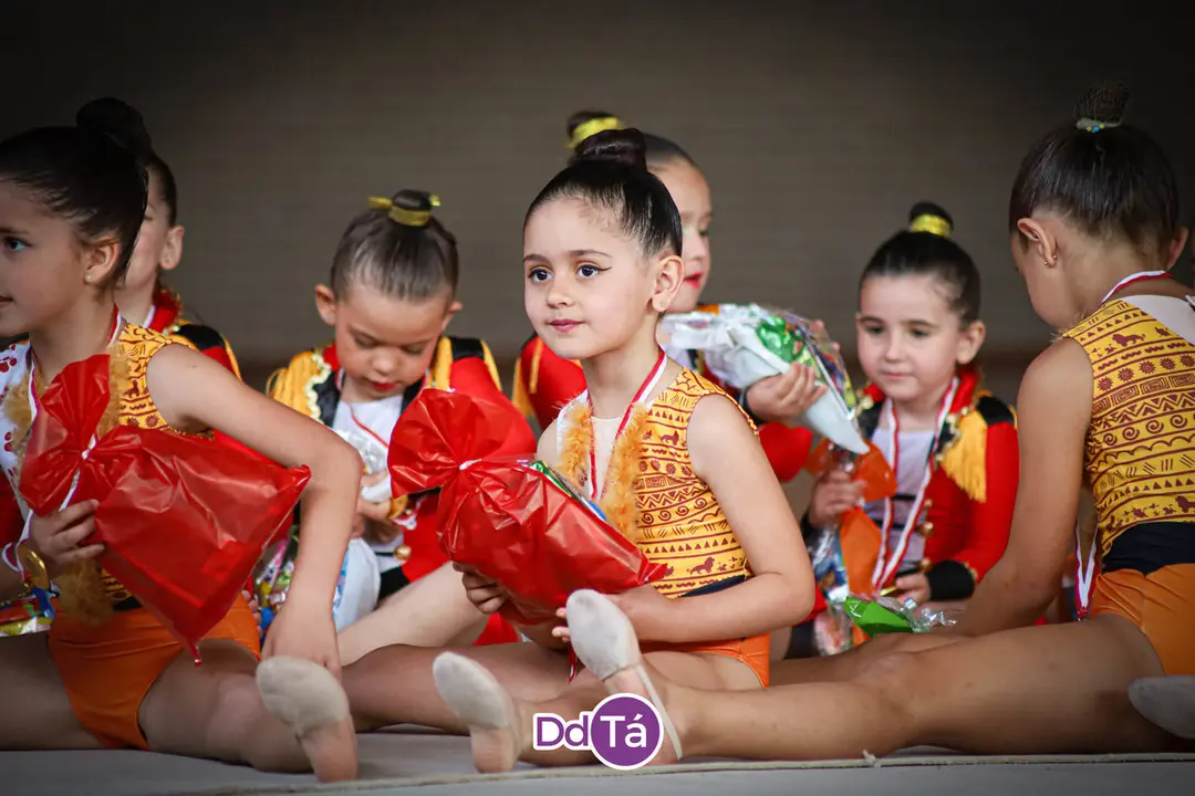 fin curso gimnasia ritmica verin 2024-016