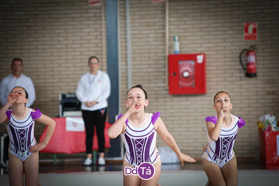 fin curso gimnasia ritmica verin 2024-066