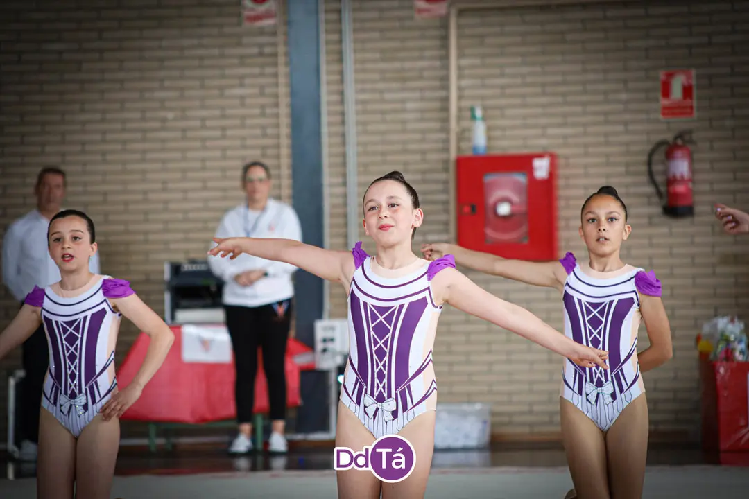 fin curso gimnasia ritmica verin 2024-067