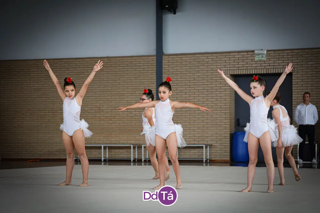 fin curso gimnasia ritmica verin 2024-113