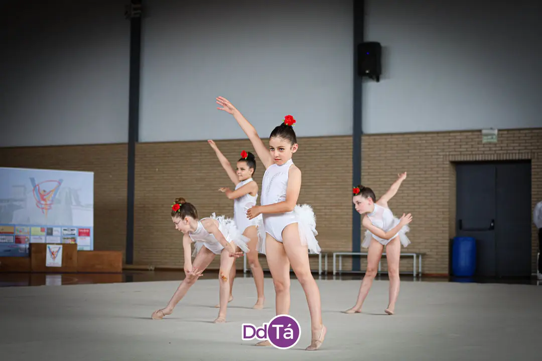 fin curso gimnasia ritmica verin 2024-118