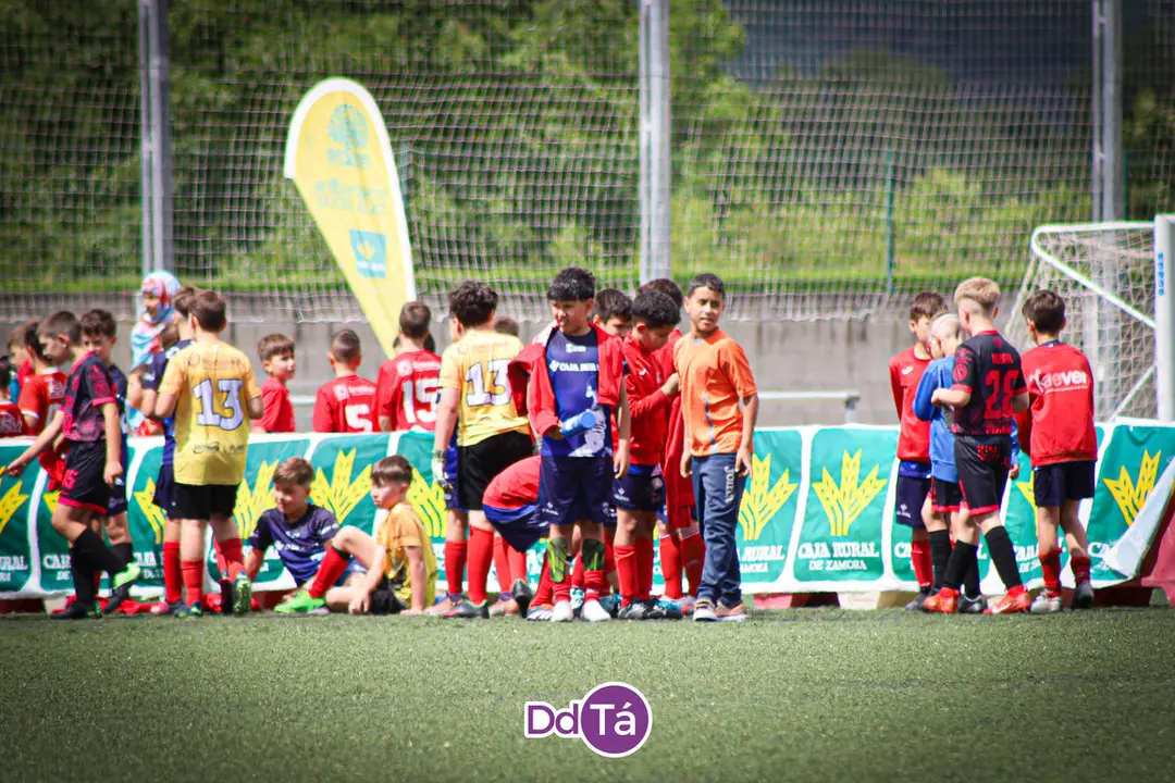 torneo futbol infantil xu&ntilde;o 2024-12