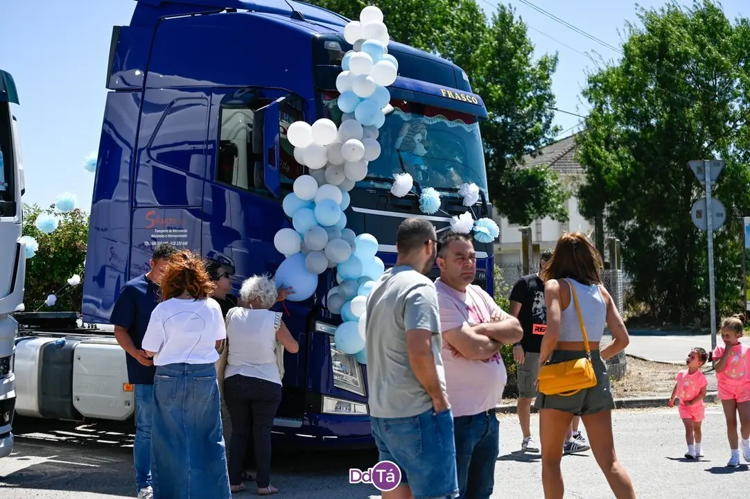 camion verin-74