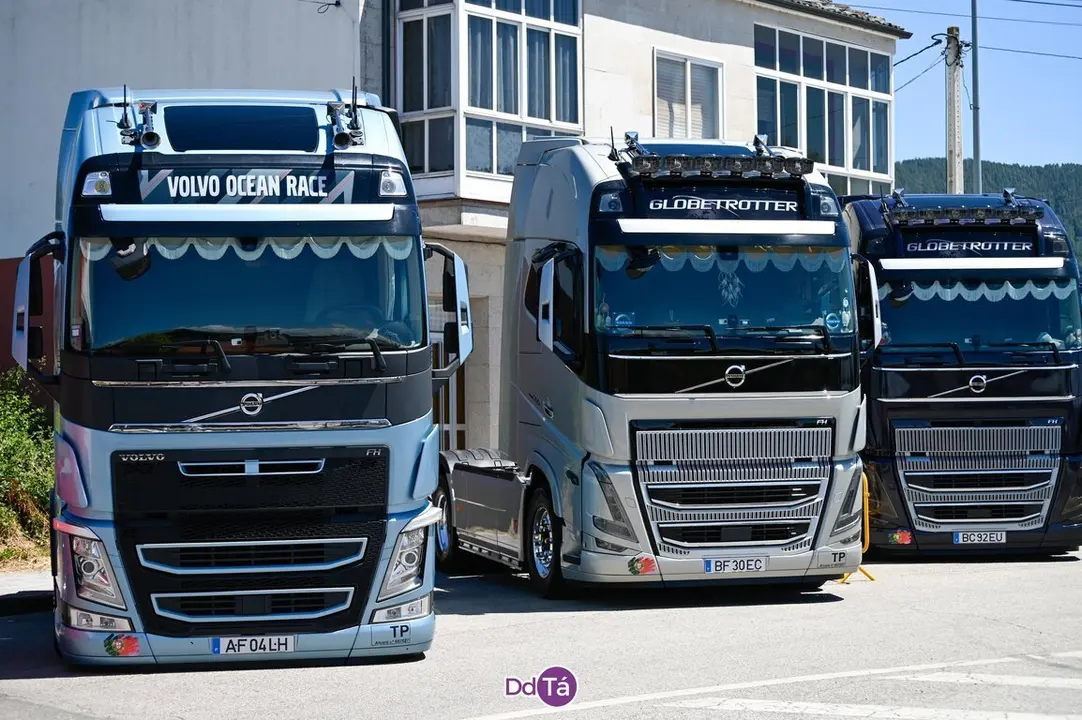 camion verin-85