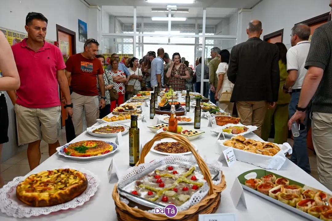 feira pemento oimbra-114