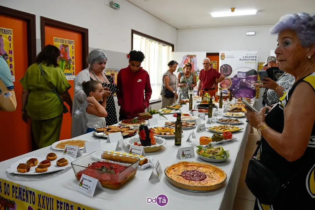 feira pemento oimbra-119