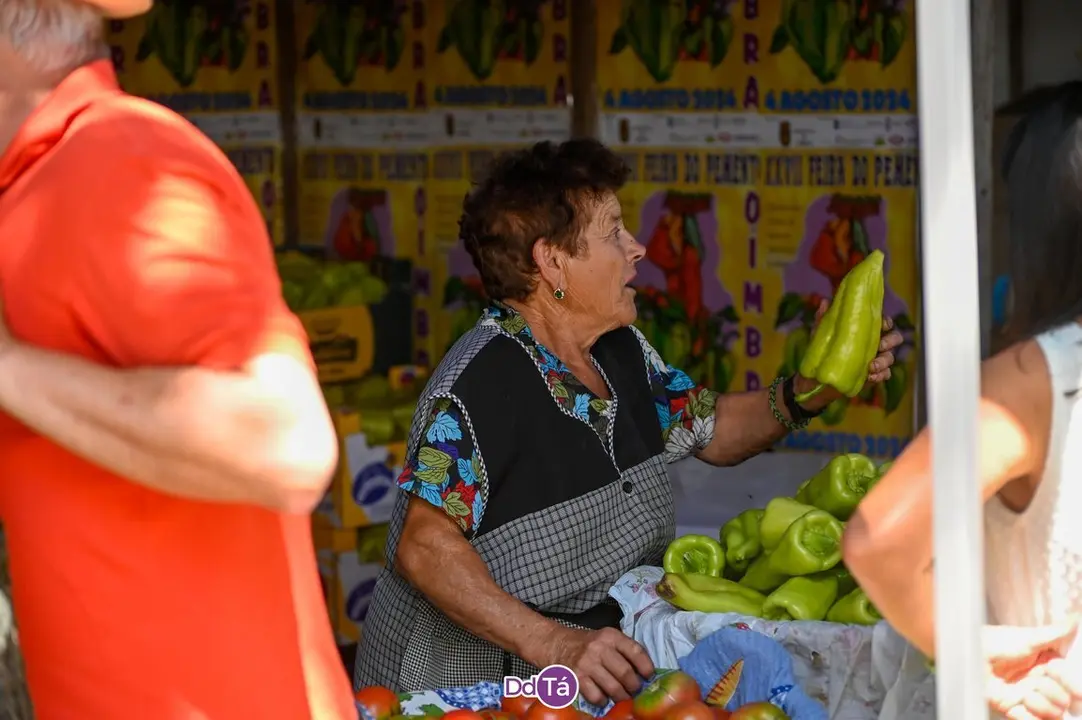 feira pemento oimbra-120