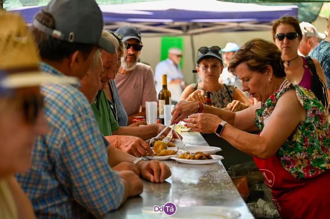 feira pemento oimbra-121