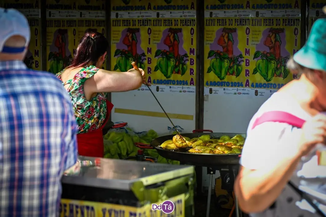 feira pemento oimbra-122