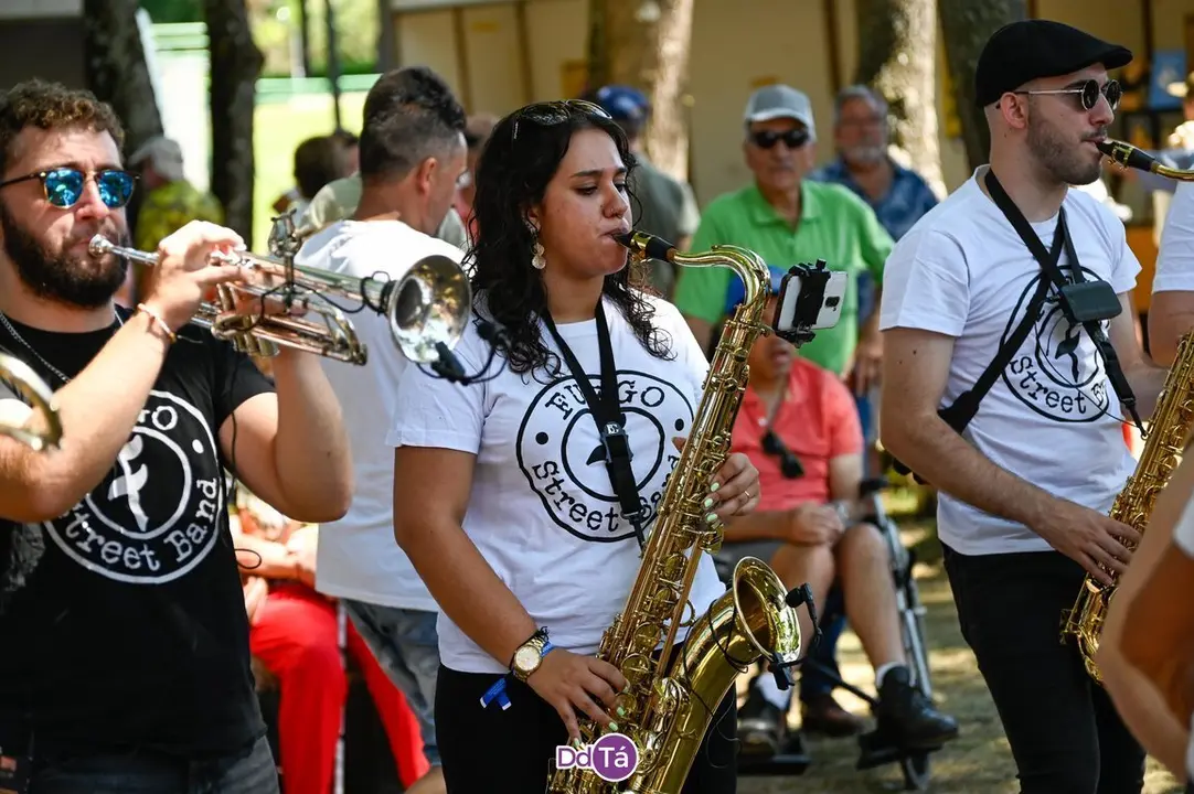 feira pemento oimbra-124