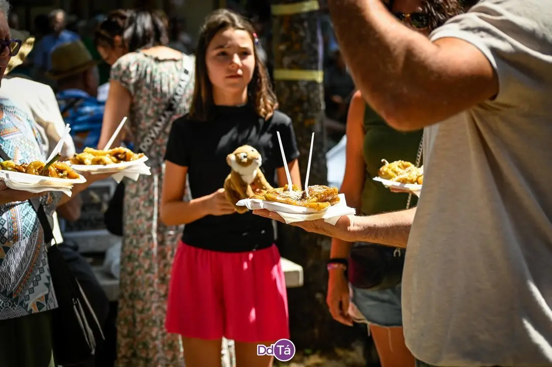feira pemento oimbra-129