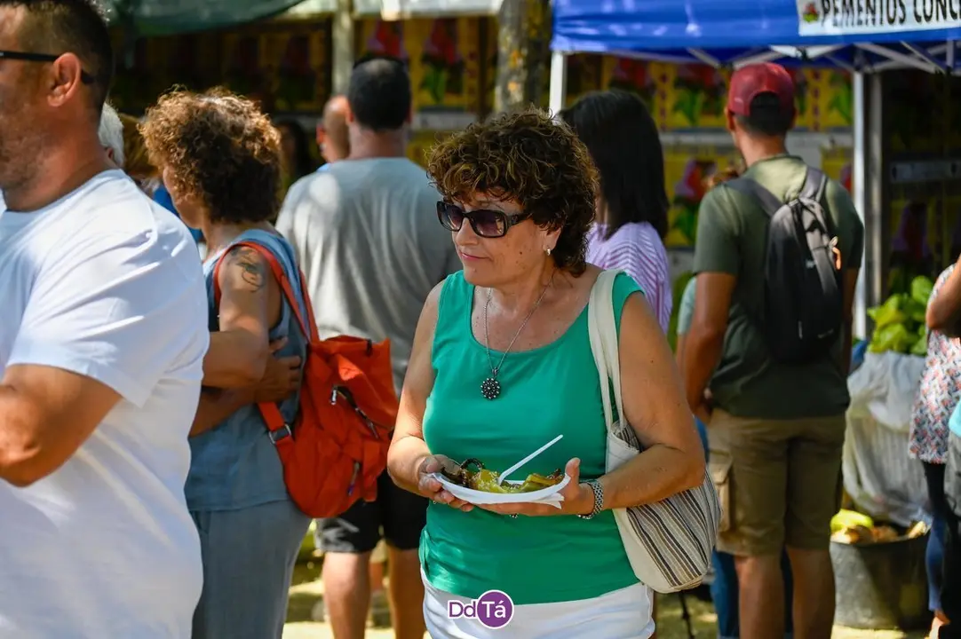 feira pemento oimbra-140