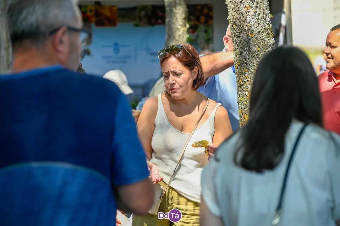 feira pemento oimbra-141