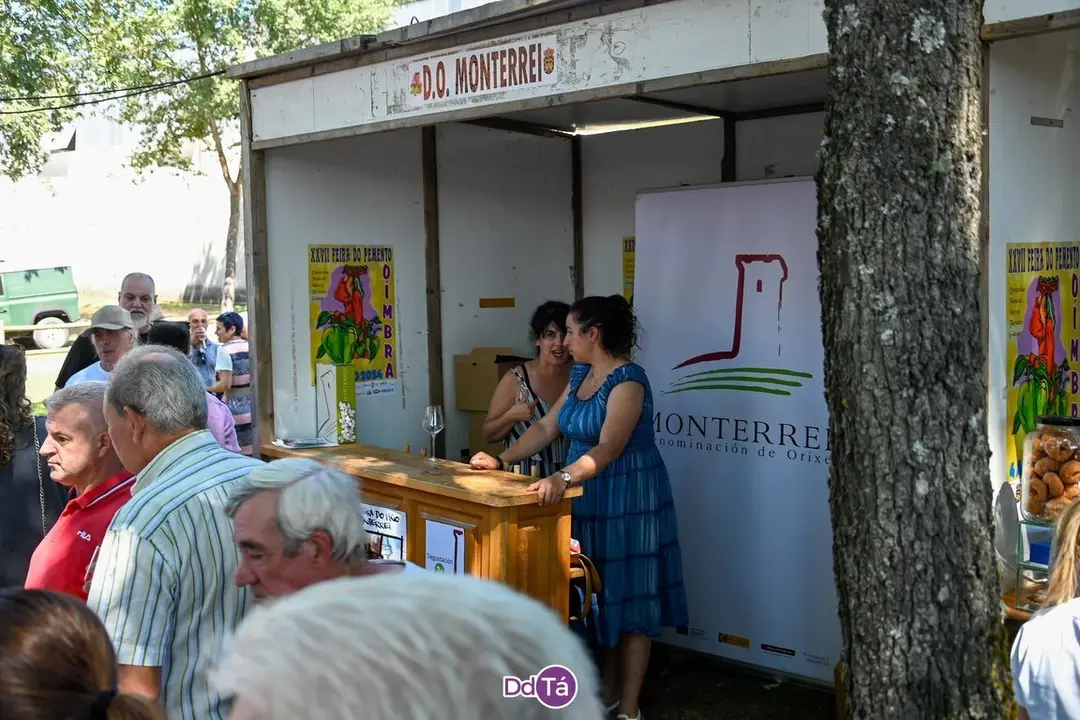 feira pemento oimbra-146