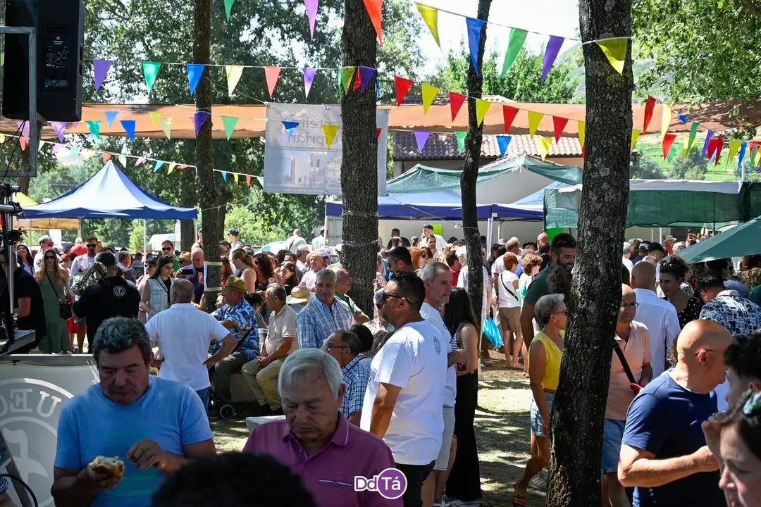 feira pemento oimbra-148