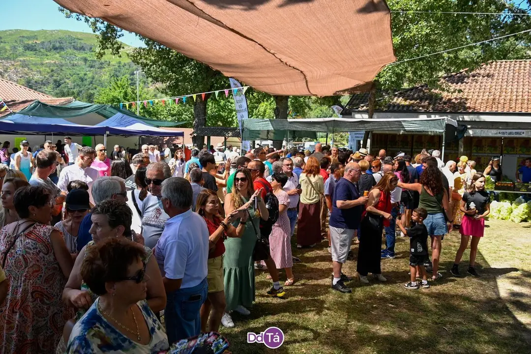feira pemento oimbra-150