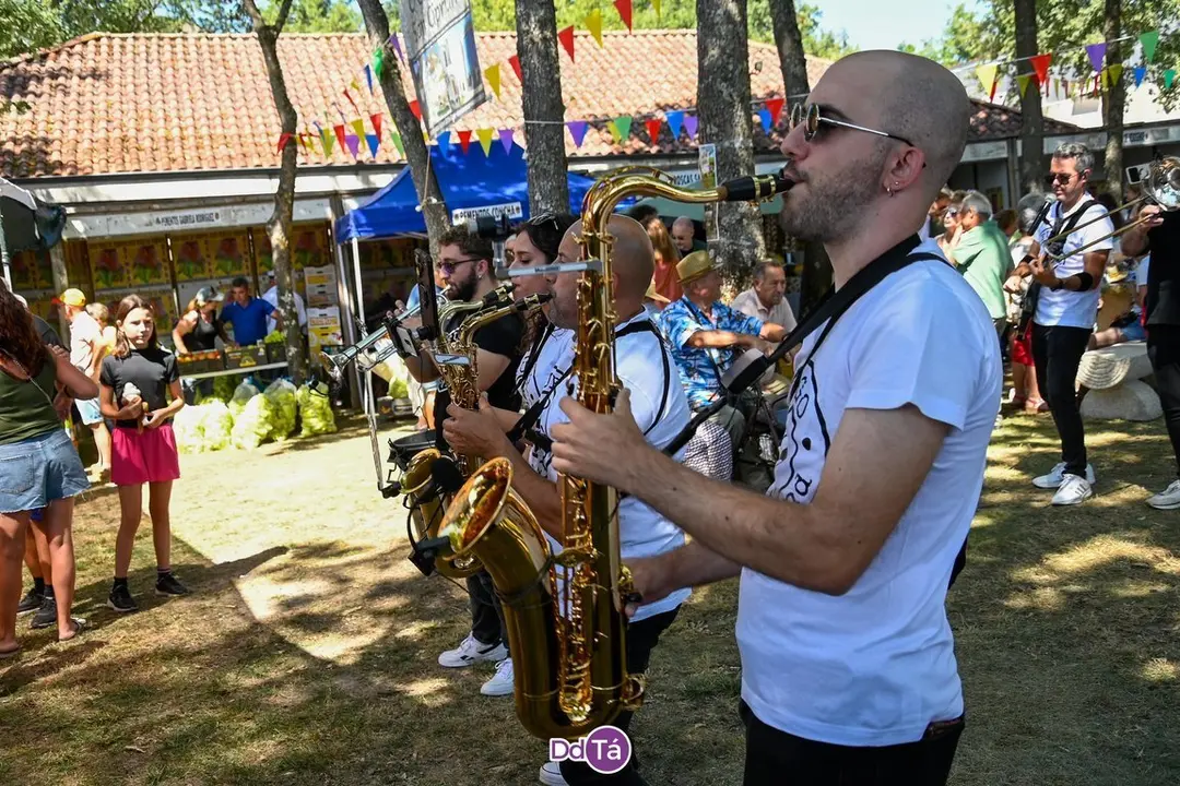 feira pemento oimbra-151