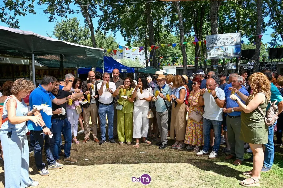 feira pemento oimbra-161