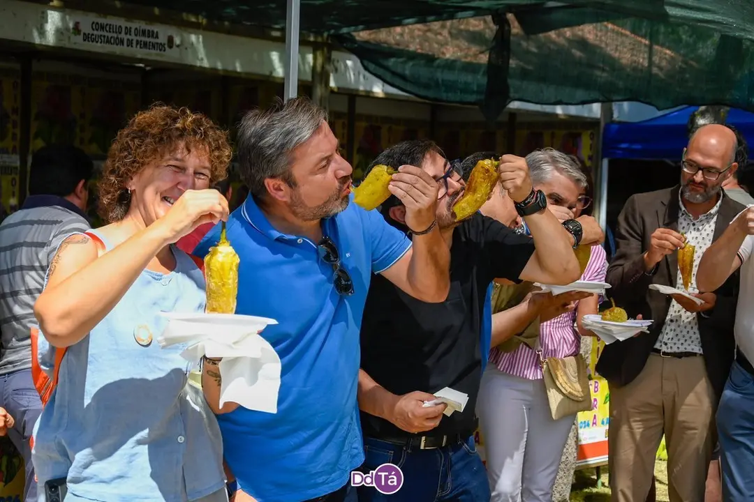 feira pemento oimbra-165