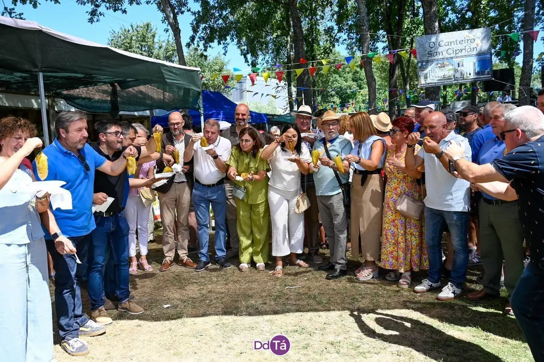 feira pemento oimbra-168