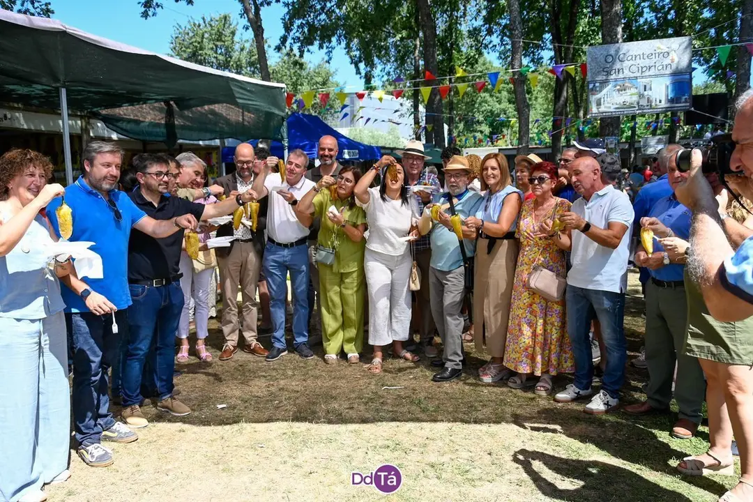 feira pemento oimbra-169