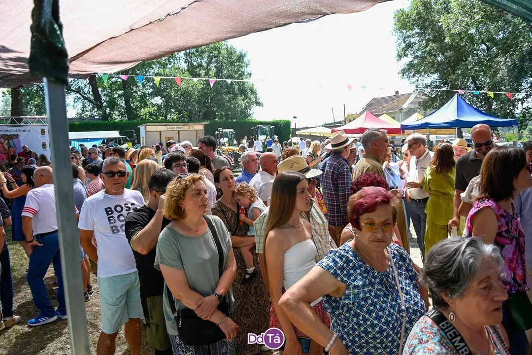 feira pemento oimbra-184